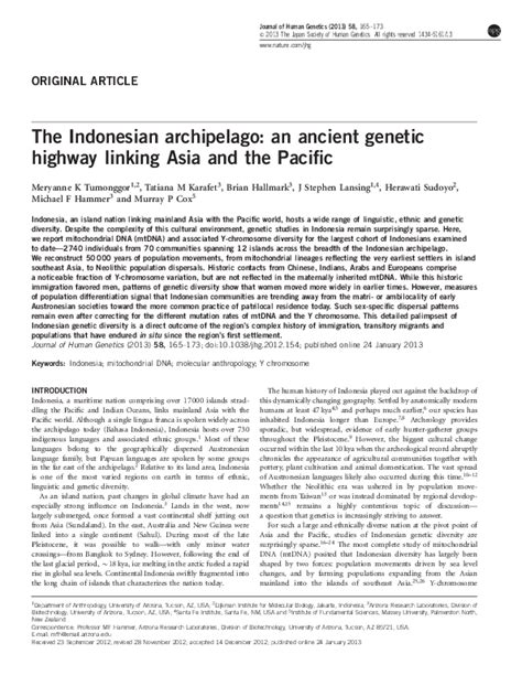 The Indonesian archipelago: an ancient genetic highway linking .